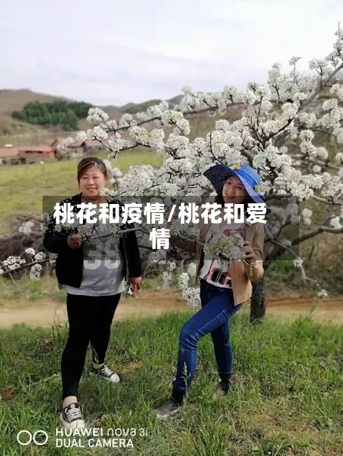 桃花和疫情/桃花和爱情-第2张图片