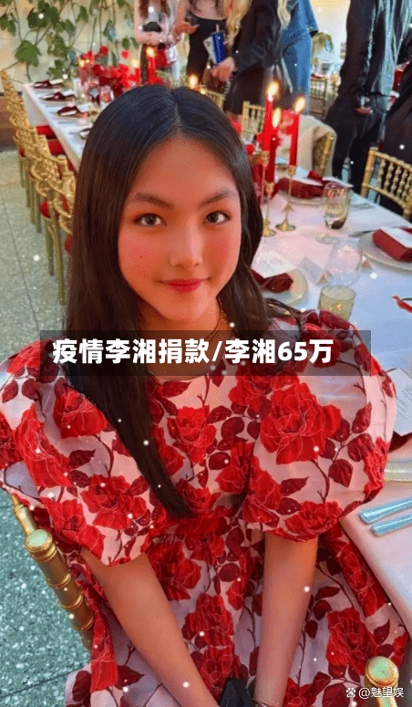 疫情李湘捐款/李湘65万-第2张图片