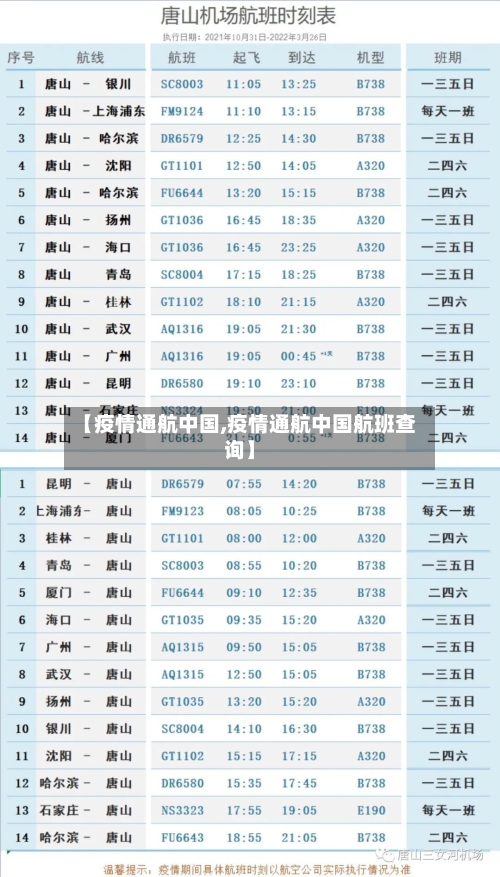 【疫情通航中国,疫情通航中国航班查询】
