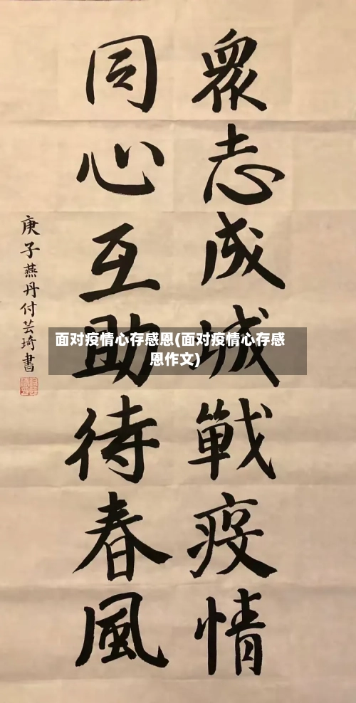面对疫情心存感恩(面对疫情心存感恩作文)-第2张图片