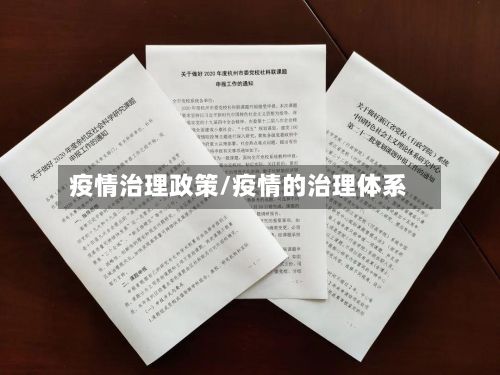 疫情治理政策/疫情的治理体系-第2张图片