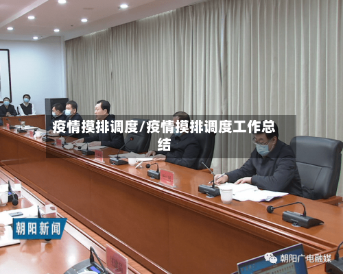 疫情摸排调度/疫情摸排调度工作总结-第3张图片