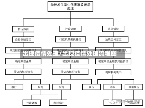 出现疫情处理/出现疫情处理流程图-第2张图片