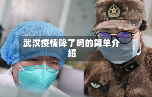 武汉疫情降了吗的简单介绍