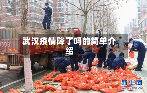 武汉疫情降了吗的简单介绍-第2张图片