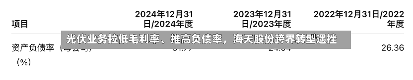 光伏业务拉低毛利率、推高负债率，海天股份跨界转型遇挫-第2张图片