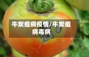 牛炭疽病疫情/牛炭疽病毒病