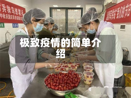 极致疫情的简单介绍
