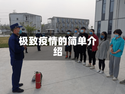 极致疫情的简单介绍-第2张图片