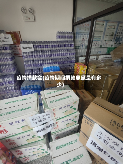 疫情捐款会(疫情期间捐款总额是有多少)