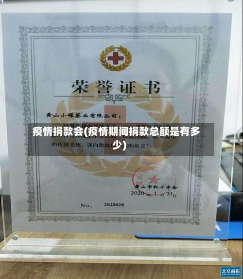疫情捐款会(疫情期间捐款总额是有多少)-第2张图片