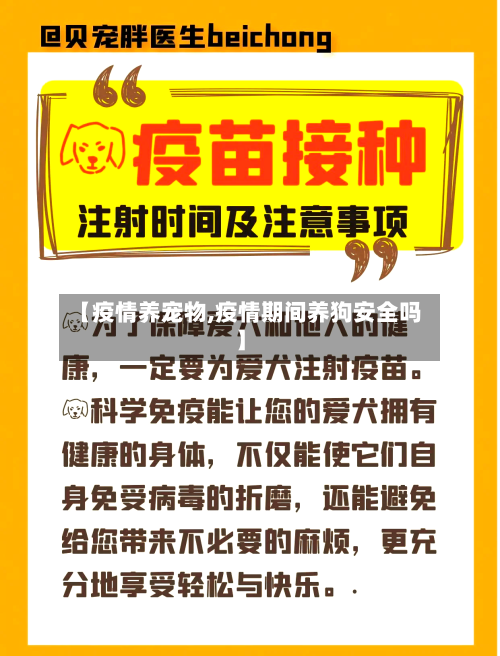 【疫情养宠物,疫情期间养狗安全吗】