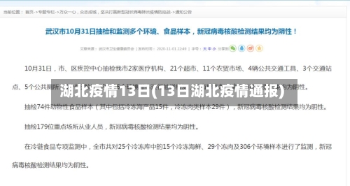 湖北疫情13日(13日湖北疫情通报)-第2张图片