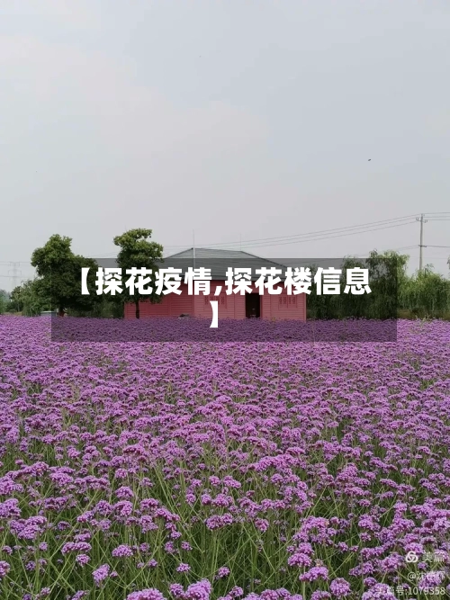 【探花疫情,探花楼信息】