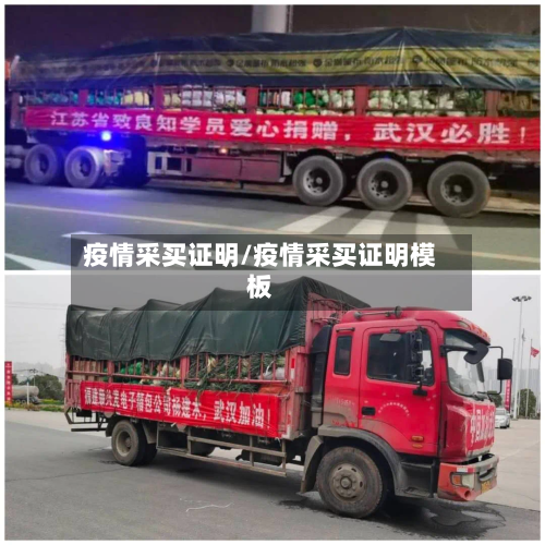 疫情采买证明/疫情采买证明模板