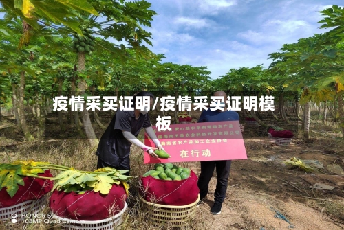 疫情采买证明/疫情采买证明模板-第2张图片