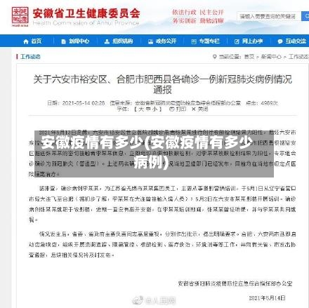 安徽疫情有多少(安徽疫情有多少病例)-第3张图片