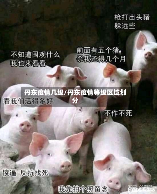 丹东疫情几级/丹东疫情等级区域划分-第2张图片