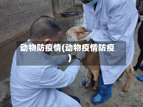 动物防疫情(动物疫情防疫)-第3张图片