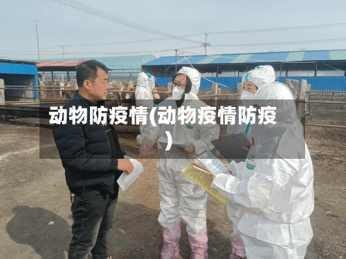 动物防疫情(动物疫情防疫)