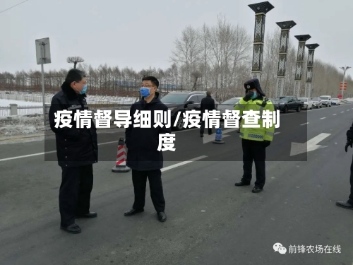 疫情督导细则/疫情督查制度