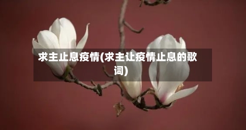 求主止息疫情(求主让疫情止息的歌词)-第3张图片