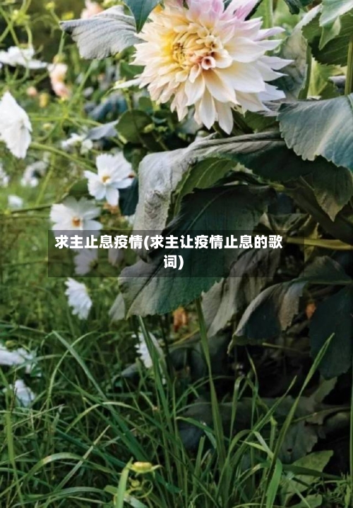 求主止息疫情(求主让疫情止息的歌词)-第2张图片