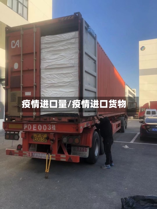 疫情进口量/疫情进口货物-第2张图片