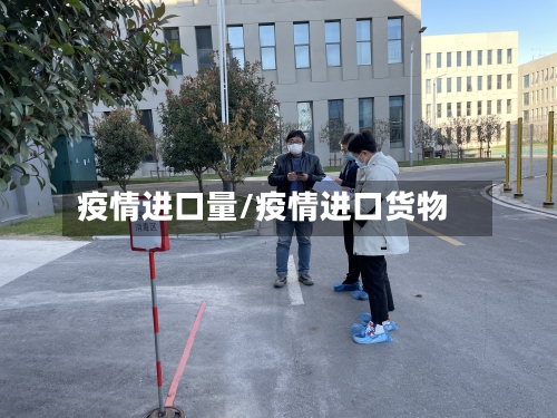 疫情进口量/疫情进口货物