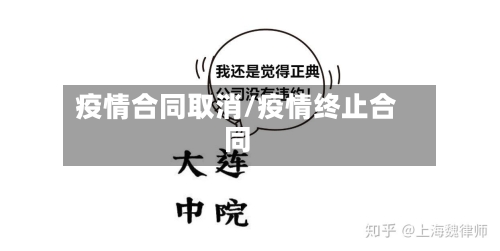 疫情合同取消/疫情终止合同-第2张图片