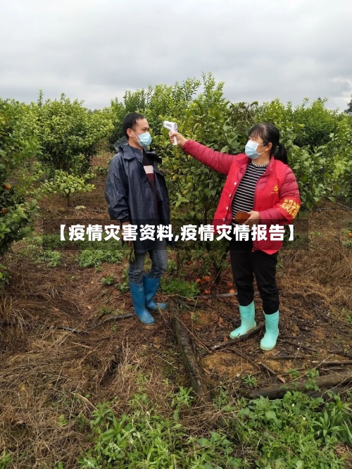 【疫情灾害资料,疫情灾情报告】