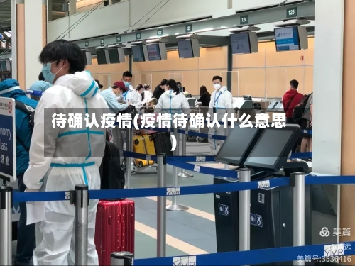 待确认疫情(疫情待确认什么意思)-第3张图片