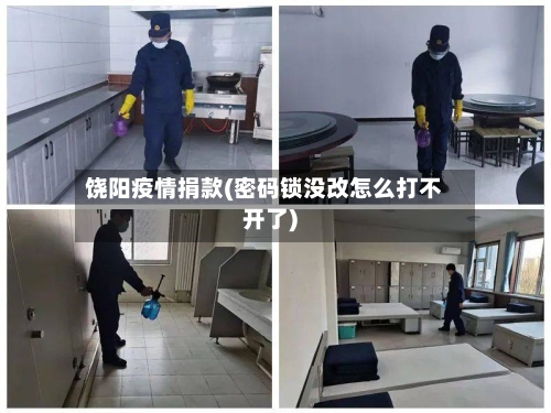 饶阳疫情捐款(密码锁没改怎么打不开了)