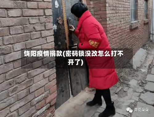 饶阳疫情捐款(密码锁没改怎么打不开了)-第2张图片