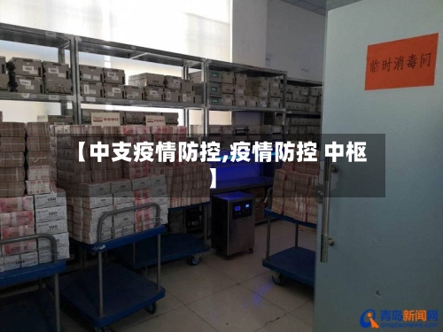 【中支疫情防控,疫情防控 中枢】-第3张图片