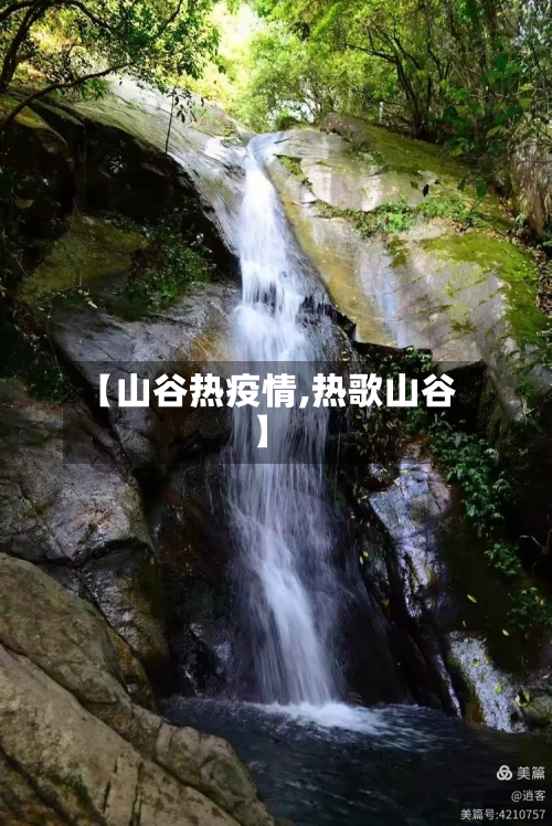 【山谷热疫情,热歌山谷】-第3张图片