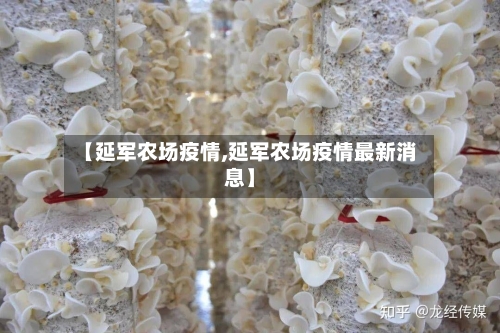 【延军农场疫情,延军农场疫情最新消息】