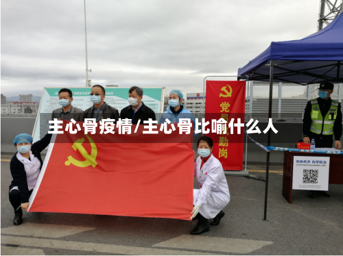 主心骨疫情/主心骨比喻什么人-第3张图片