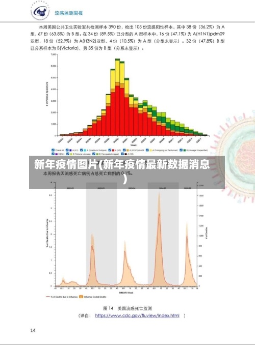 新年疫情图片(新年疫情最新数据消息)