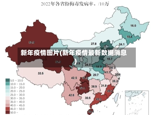 新年疫情图片(新年疫情最新数据消息)-第3张图片