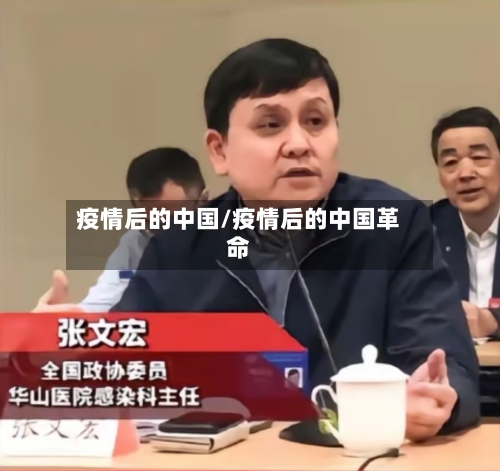 疫情后的中国/疫情后的中国革命