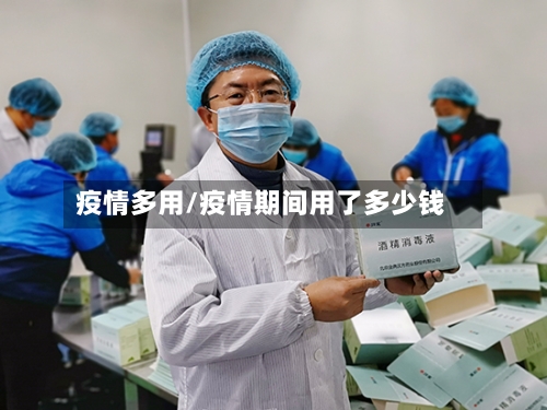 疫情多用/疫情期间用了多少钱-第2张图片