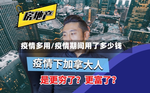 疫情多用/疫情期间用了多少钱-第3张图片