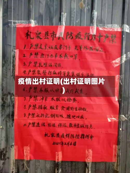 疫情出村证明(出村证明图片)-第2张图片