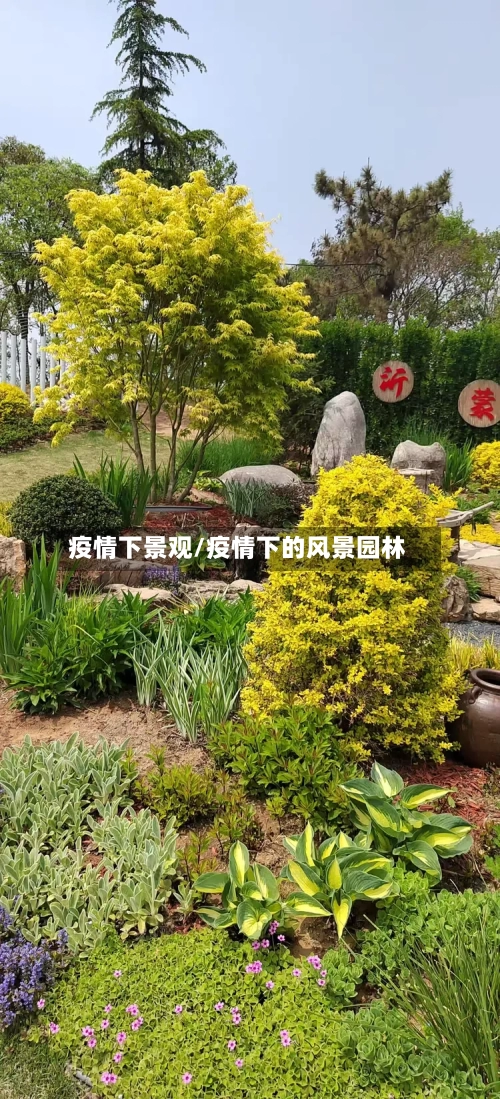 疫情下景观/疫情下的风景园林-第2张图片