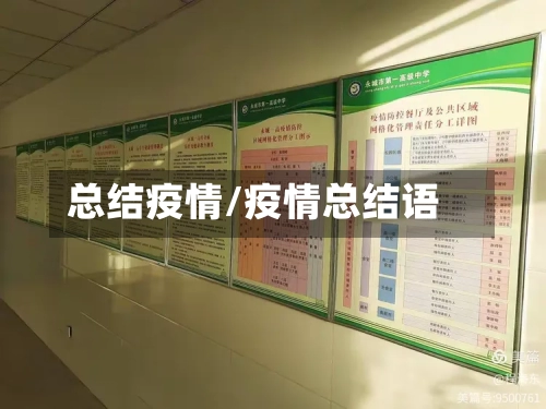 总结疫情/疫情总结语-第2张图片