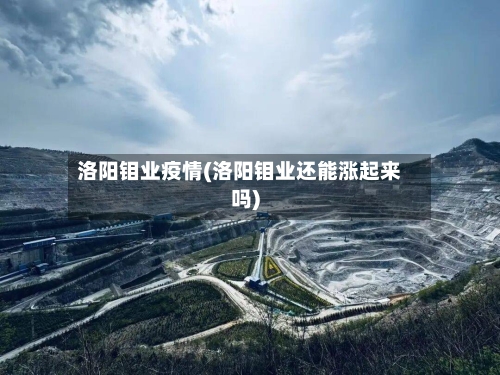 洛阳钼业疫情(洛阳钼业还能涨起来吗)-第2张图片