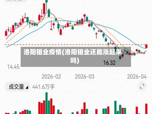 洛阳钼业疫情(洛阳钼业还能涨起来吗)