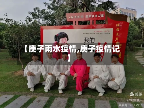 【庚子雨水疫情,庚子疫情记】-第2张图片