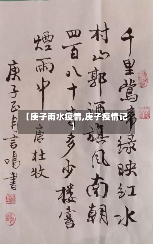 【庚子雨水疫情,庚子疫情记】